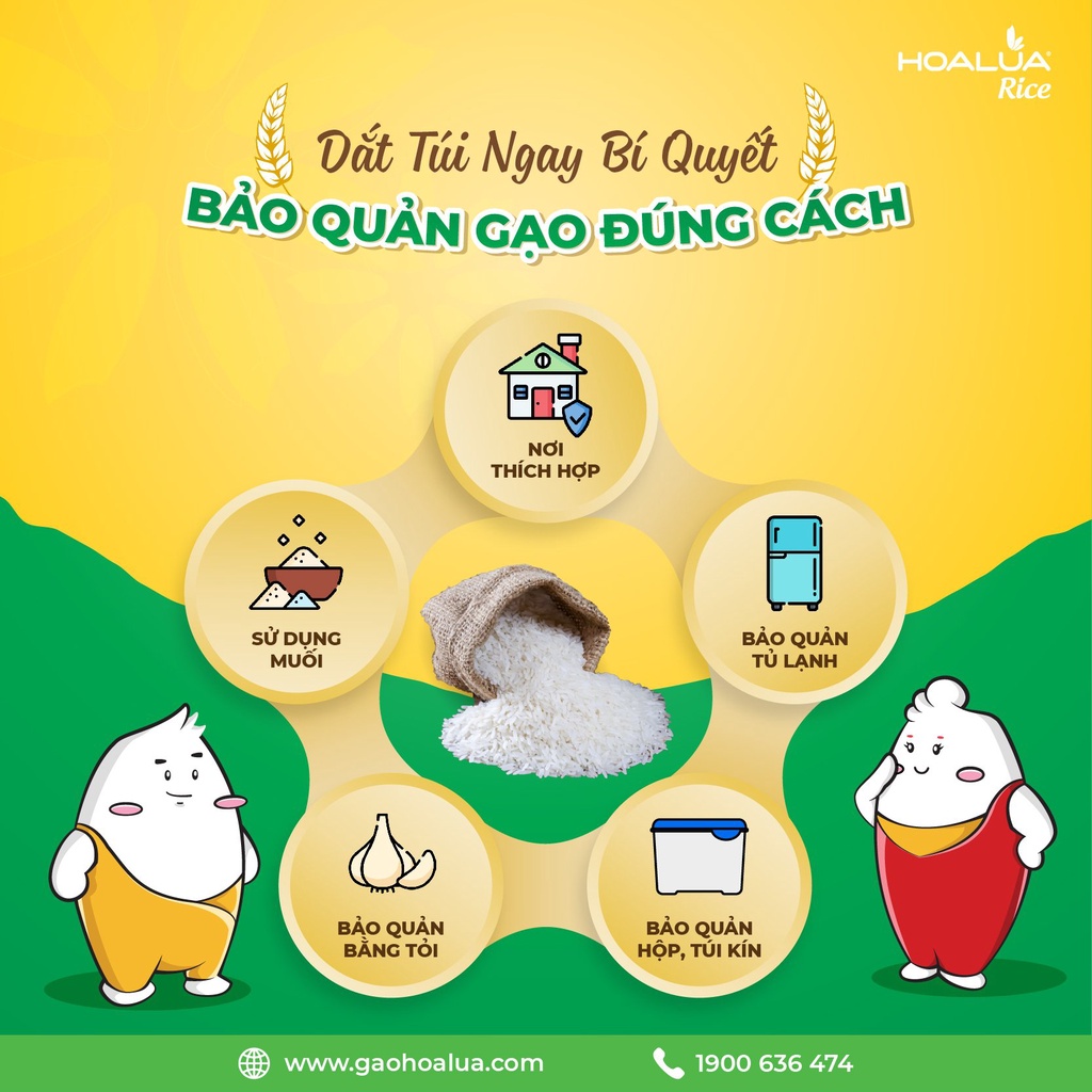 Gạo Sạch Đóng Hộp Hút Chân Không Sang Trọng, Gạo Thơm Dẻo Thượng Hạng - Hoa Lúa