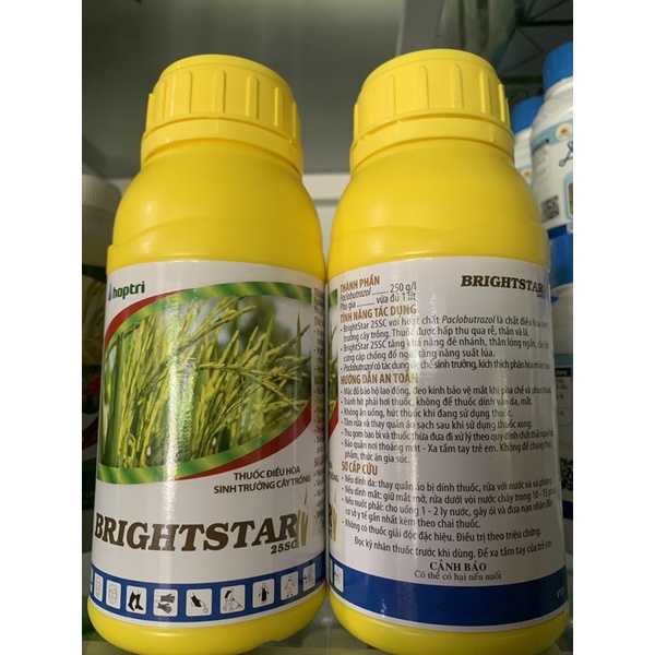 Điều hoà sinh trưởng cây trồng Brightstar 25SC của hợp trí