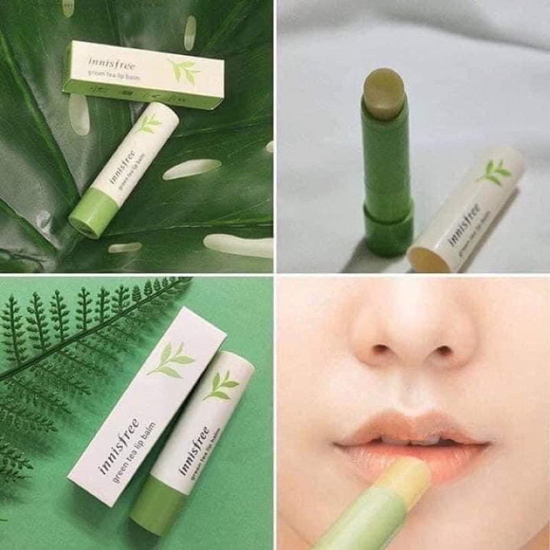 Son Dưỡng Trà Xanh Mật Ong Innisfree Green Tea Lip Balm