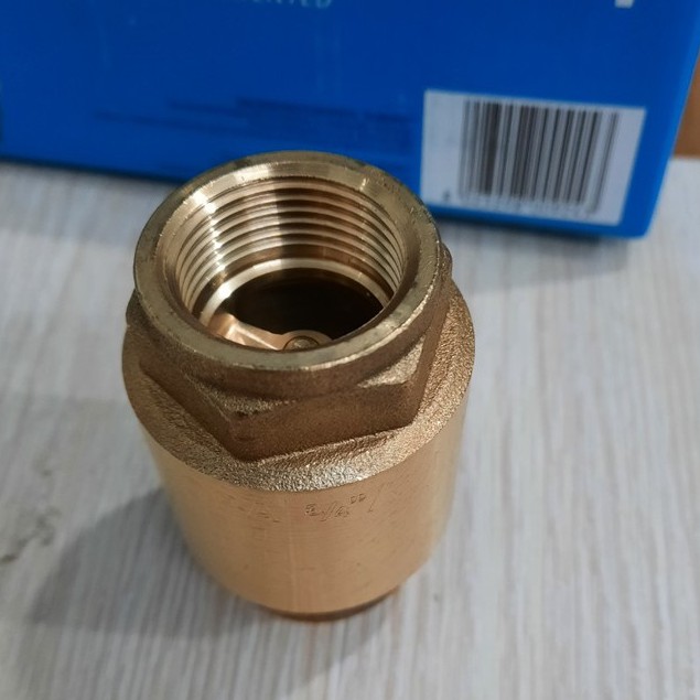 Van 1 chiều lò xo Europa art.100 Italy phi 21 phi 27 phi 34 áp 25kg