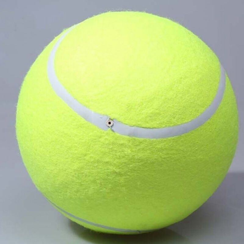 Đồ chơi quả banh tennis cho thú cưng