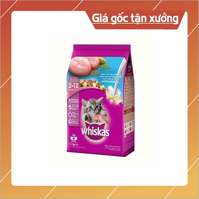 [RẺ NHẤT TOÀN QUỐC] Gói hạt dùng thử Whiskas mèo con vị cá biển và sữa 50g - Bơ Bơ Petshop Phụ kiện chó mèo Hà Nội