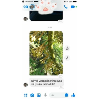 CHẾ PHẨM SINH HỌC SIÊU RA HOA HLC
