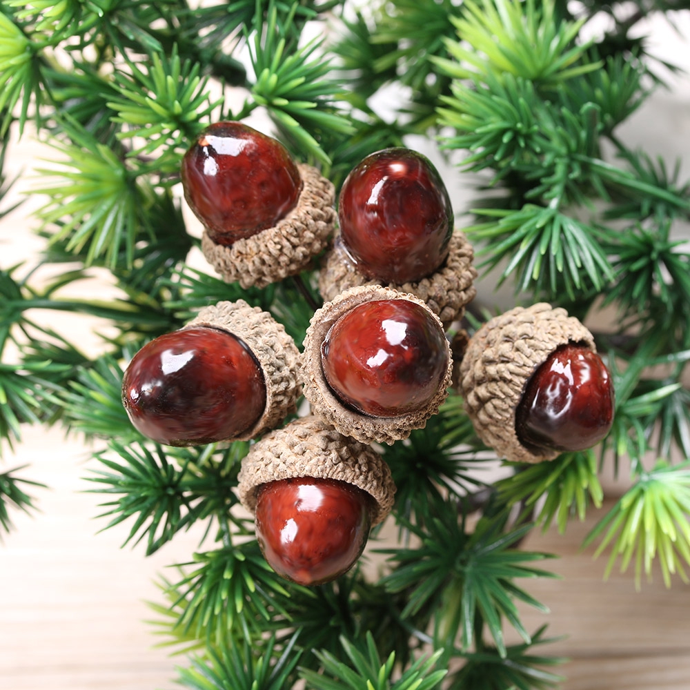 Bộ 6 nhánh cây hạt thông khô dùng làm đồ thủ công trang trí nhà/tiệc/lễ hội đẹp mắt DIY