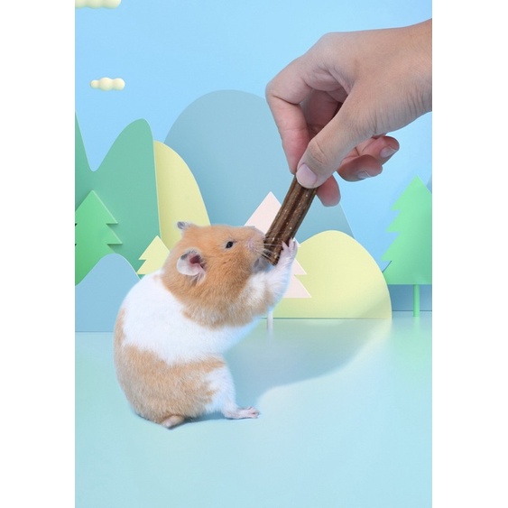 Mài răng Vilality cho hamster, rat, đuôi mập, nhím, sóc, chinchilla