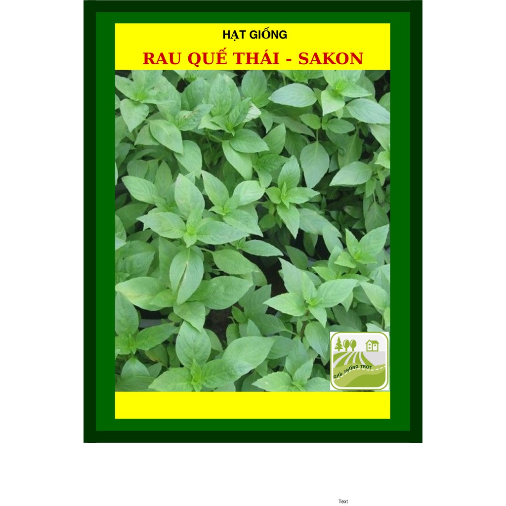 Hạt Giống Rau Quế 10 Gram