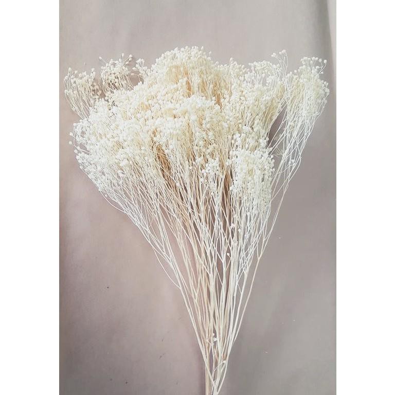[ĐƯỢC TRỢ GIÁ] Hoa Khô Baby Bloom (Bó 35gr)