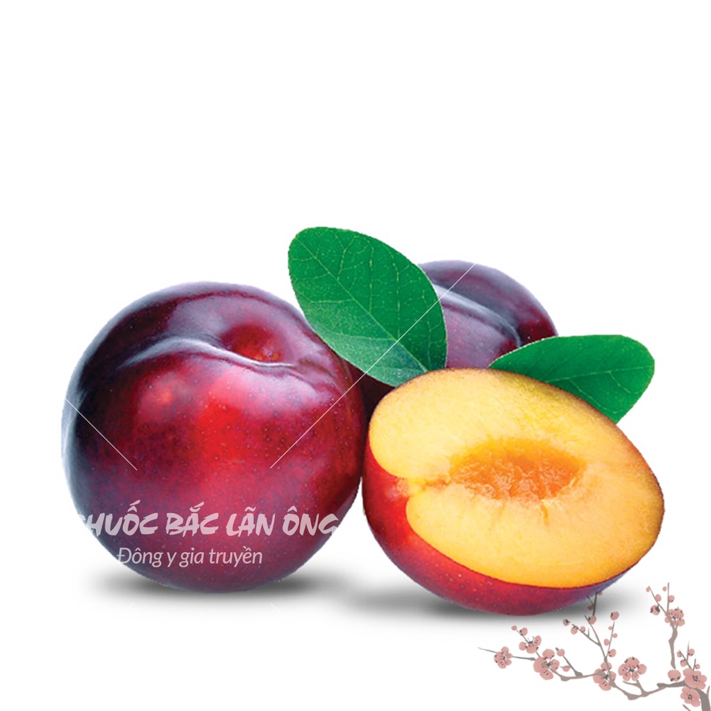 Ô mai mận cơm dẻo xào gừng đặc sản Hà Nội (Đồ ăn vặt thơm ngon)