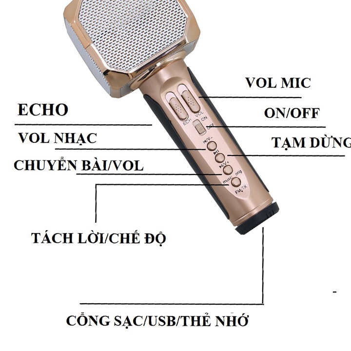 Micro Karaoke Bluetooth Không Dây HOLOCOM SD10 Đa Năng Bắt Giọng Kèm Loa Bluetooh Âm Vang - Hỗ Trợ Cổng Cắm Thẻ Nhớ USB