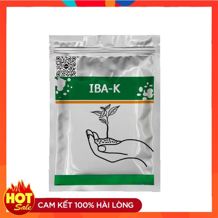 Thuốc kích rễ Auxin IBA-K 98%  Gói 50Gram
