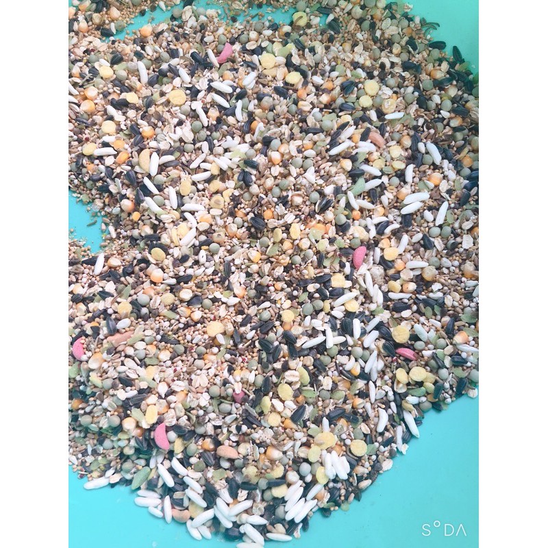 Thức ăn cho chuột đuôi mập 500g