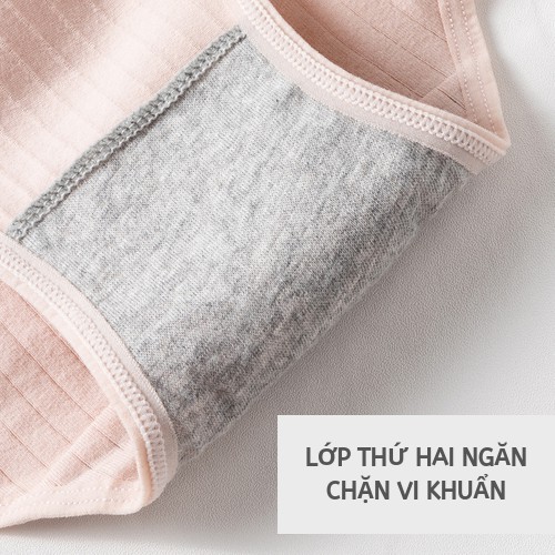 Original Quần Lót Classic BrieSF Nữ Đáy Viscose Bikini Thông Hơi Thắt Lưng Cao Cấp ZK GR8951 II Nội Địa Trung Nam