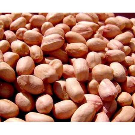 [NOWSHIP HN] Lạc trắng - Hàng ngon, chất lượng cao