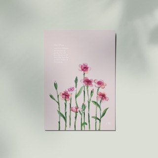 Thiệp Ôm - Hoa Cẩm Chướng | Card - Dianthus