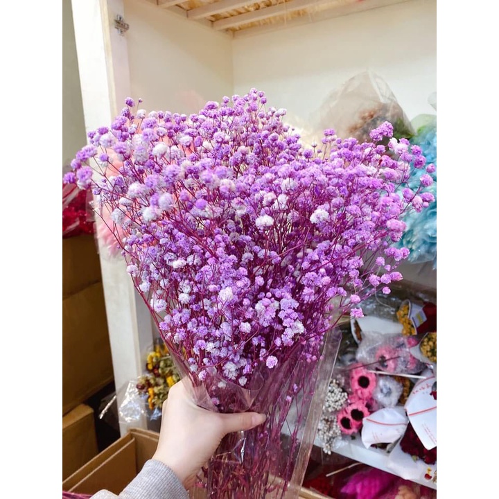 Hoa baby khô, Gypsophila hoa khô decor trang trí phòng ngủ, làm đồ handmade