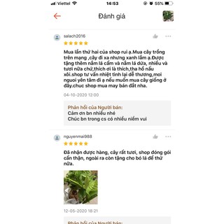 5k/c dễ trần  cẩm tím và đỏ