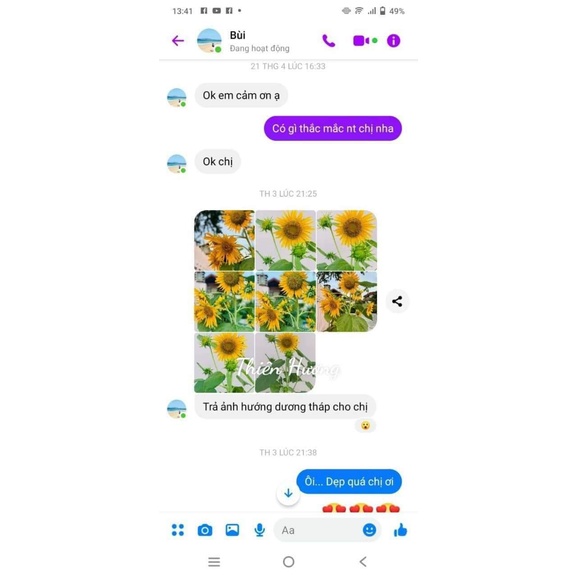 Gói 200 Hạt giống hoa hướng dương tháp_Ảnh thật 100% Nảy mầm tốt và hoa thật 100%