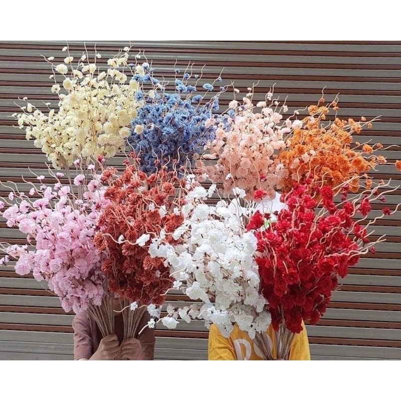 Hoa Giả- Cành Đào Râu-anh đào 1m trang trí,decor