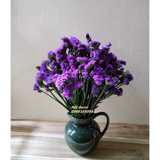 ❤️Hoa SaLem khô ❤️ Dried Statice Flower ❤️ Hoa khô nhập khẩu bền đẹp