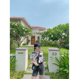 Áo phông Nữ hàng về liên tục