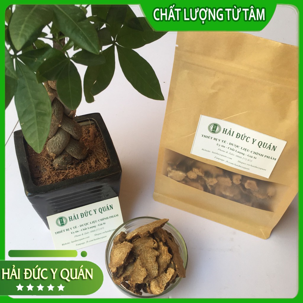 Thương Truật  Vàng, Đẹp, Thơm, Nhiều Tinh Dầu