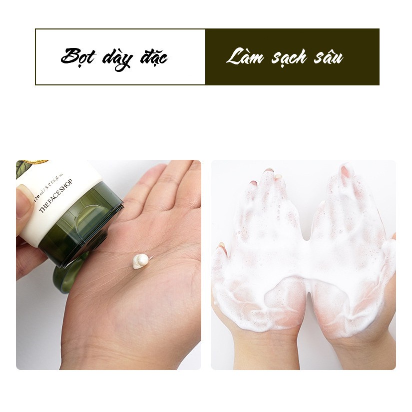 Sữa Rửa Mặt Nha Đam Tạo Bọt THEFACESHOP HERB DAY 365 - 170ml