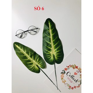 Combo chụp ảnh số 71