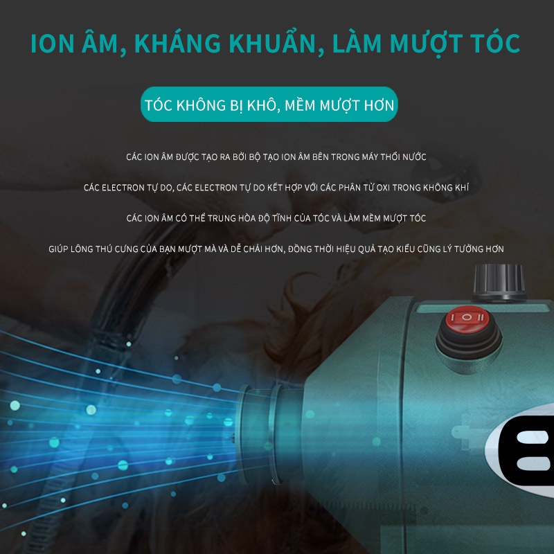 Máy sấy tóc thú cưng-máy sấy lông chó lớn cho chó mèo-hộp sấy công suất cao gia dụng-Khăn và găng tay thấm hút miễn phí