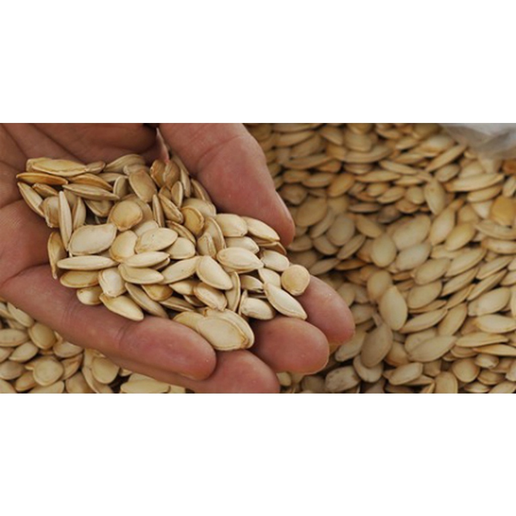 500g Hạt Bí Rang Sẵn hàng Xuất Khẩu loại 1 Đóng Túi Zíp Date Mới