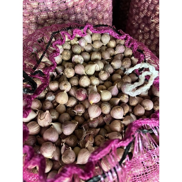 1kg Tỏi Cô Đơn tỏi mồ côi tỏi một nhánh