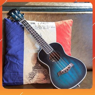 Đàn Ukulele Concert Andrew 23inch Siêu Xịn Sò