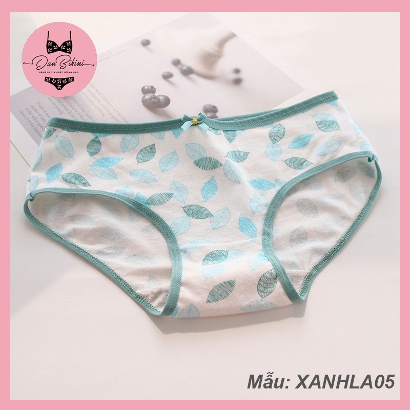 Quần Lót Nữ Cotton kháng khuẩn thoáng mát tông xanh lá dễ thương mã 1311 | BigBuy360 - bigbuy360.vn