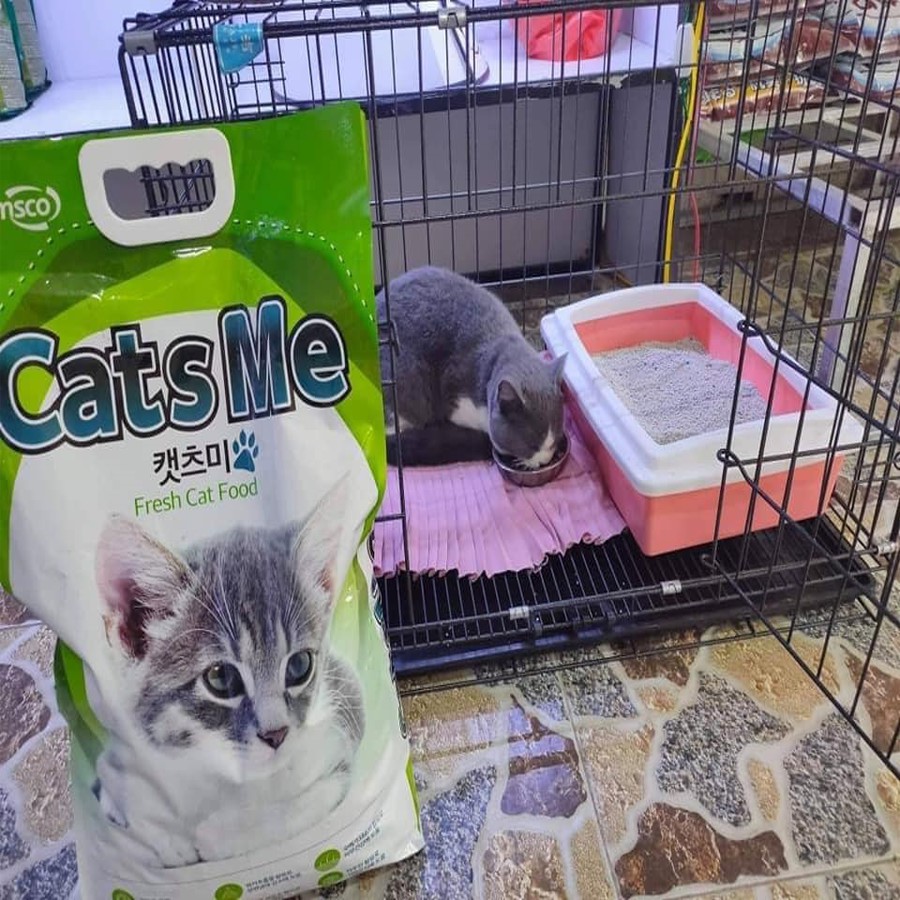 (Cam kết hàng chính hãng)Thức ăn hoàn chỉnh cho mèo trên 2 tháng tuổi Catsme - Hàn Quốc - Bao 20 Kg