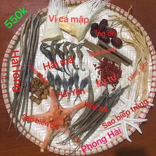 Combo tứ hải long vương ngâm rượu