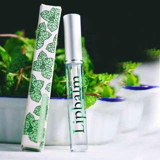 Son nước tinh dầu bạc hà Lip Balm
