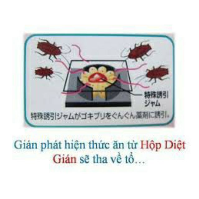 Diệt dán hiệu quả hộp 12 viên