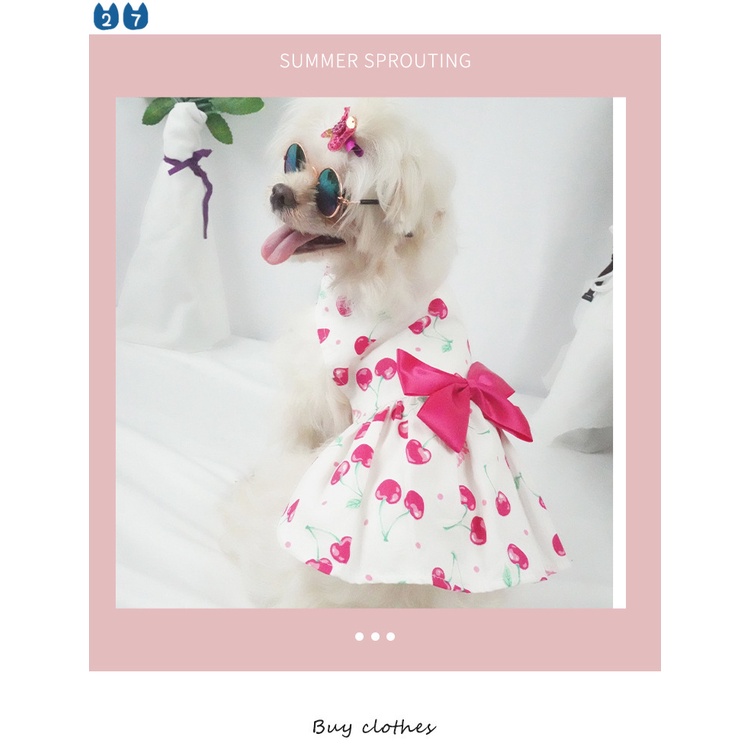 Đầm họa tiết quả dứa/cherry dễ thương cho thú cưng