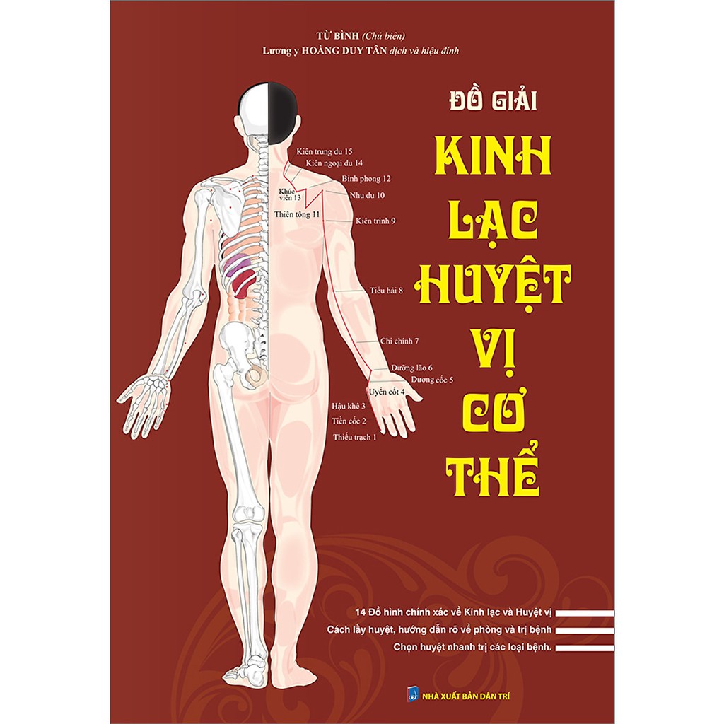 Sách - Combo Đồ giải Kinh Lạc Huyệt Vị Nam giới + Đồ giải kinh lạc huyệt vị cơ thể ( tặng sổ tay)