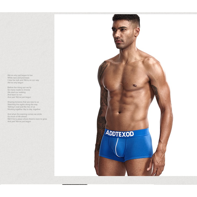 [free ship 50k + che tên đơn hàng] QUẦN LÓT NAM BOXER COTTON CAO CẤP AD (HÌNH THẬT)