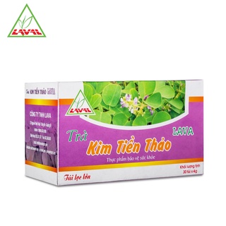 Trà kim tiền thảo desmodium styracifolium tea bag lava