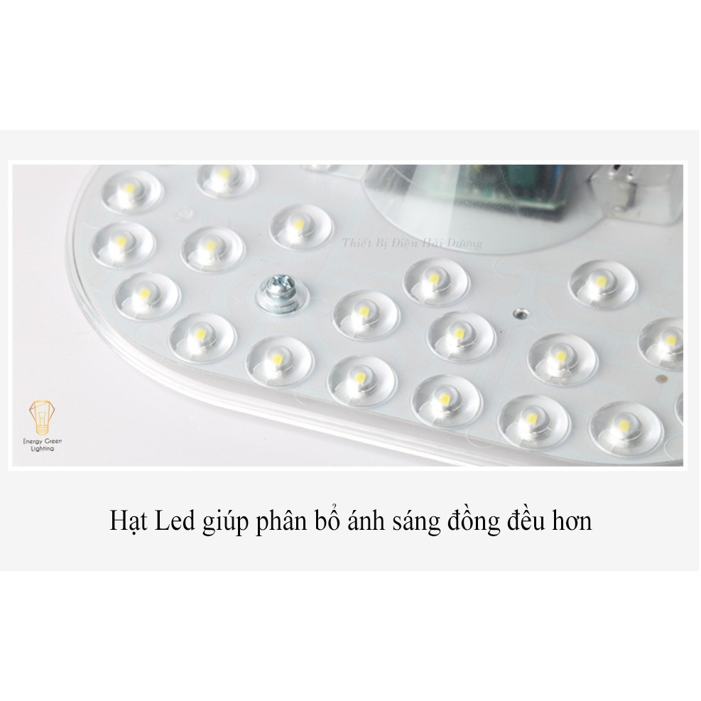 Main LED Cảm Biến Ánh Sáng Và Chuyển Động Cơ Thể Con Người - 18w , 24w , 36w Ánh Sáng Trắng - Energy Green Lighting