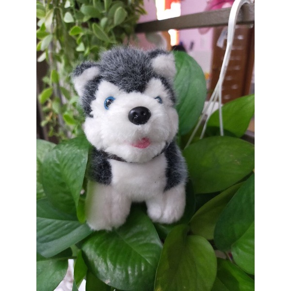 Gấu nhí size 10 - 15cm, hàng kiện Nhật, Hàn đồng giá 20k🥰🥰🥰