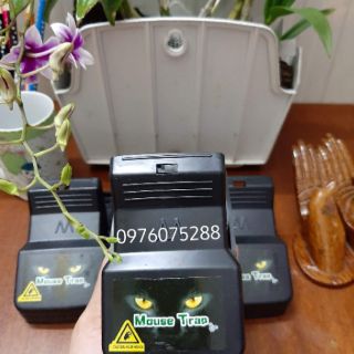 Bẫy chuột thông minh 5 cái