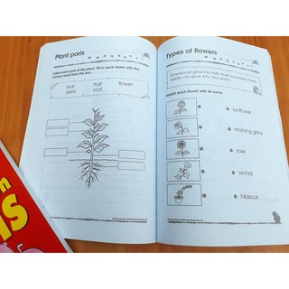 Combo 300 KINDERGARTEN MATH TIẾNG ANH