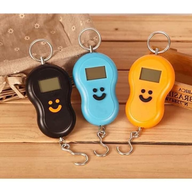 Cân mini điện tử cầm tay tiện lợi cho cần thủ