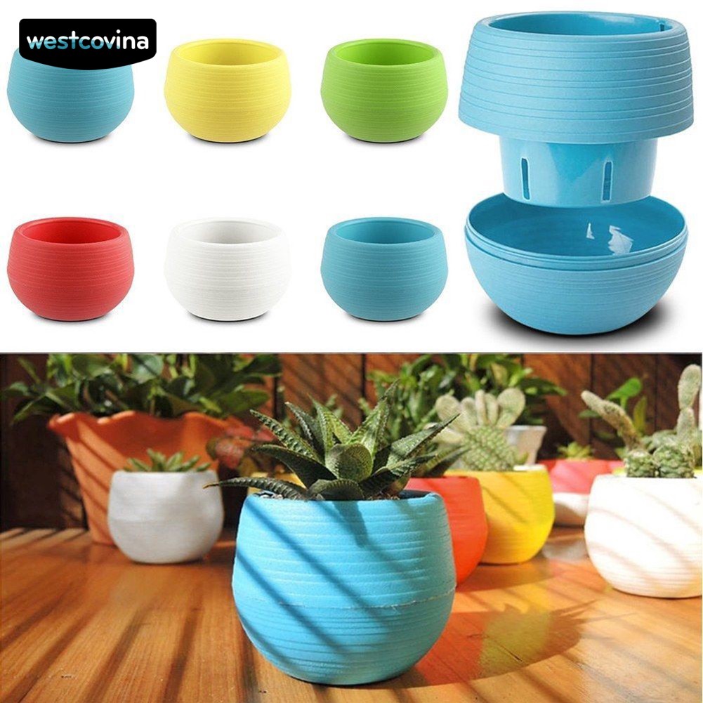 Chậu trồng cây/hoa trang trí sân vườn/nhà