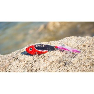Cá Sắt 7gr Câu Lure