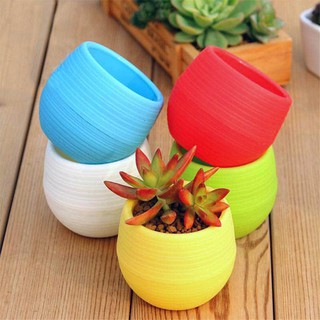 chậu nhựa trồng sen đá mini ( 1 cái)