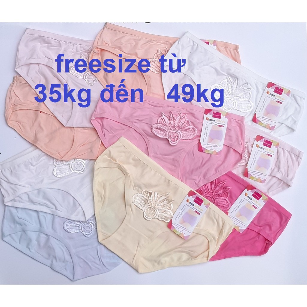 Combo 10 Quần lót nữ Thái Lan ( N804 ) thun Cotton cao cấp tạo nét quyến rũ , freesize từ 35kg đến 49kg (Giá rẻ)