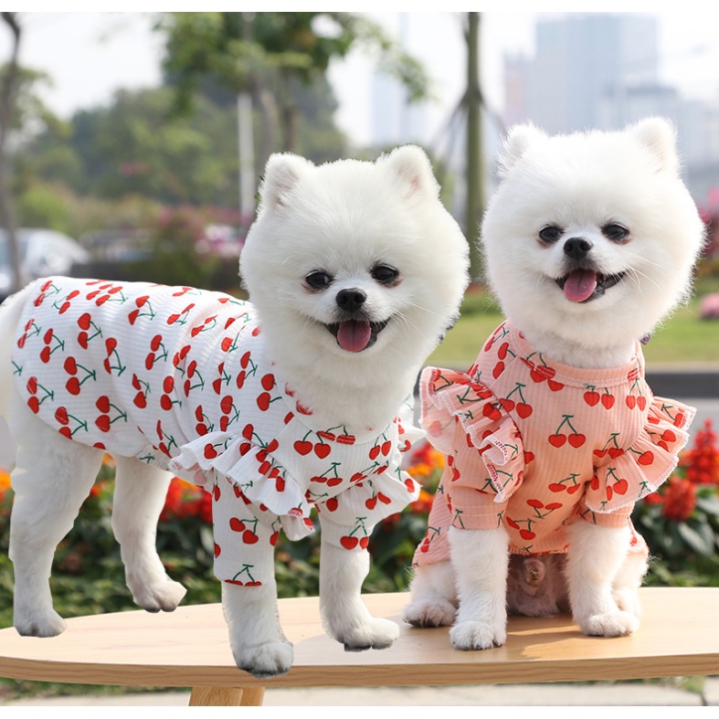 Váy có Nơ cho chó mèo mùa xuân hè, mùa thu phong cách Hawaii , Váy cho thú cưng